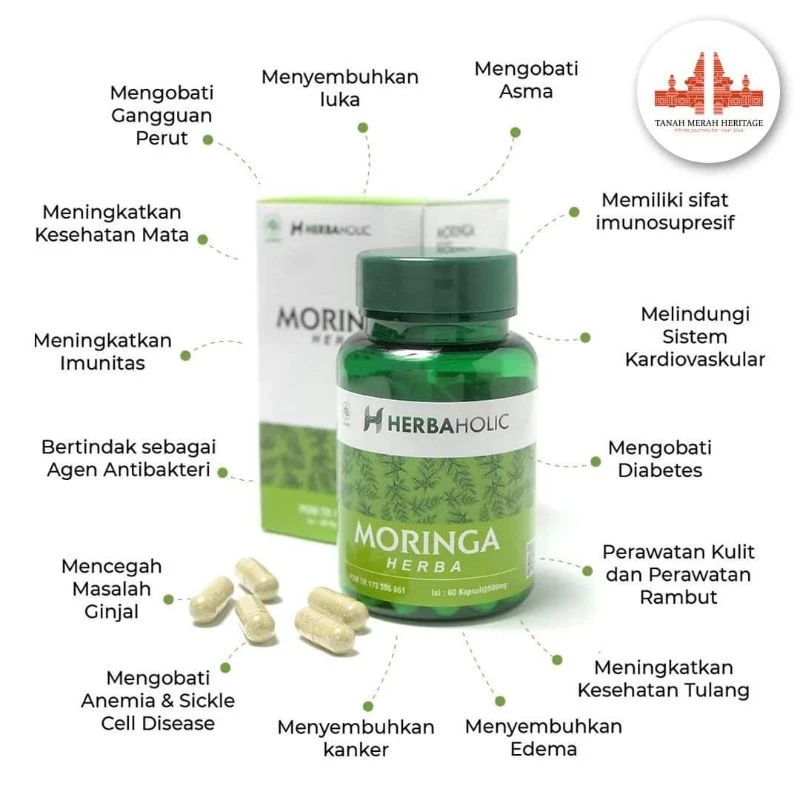 herbaholic.id kapsul ekstrak daun kelor moringa 500 mg 60 capsules herbaholic.id kapsul ekstrak daun kelor moringa 500 mg 60 capsules