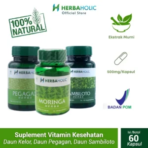 Home herbaholic.id paket booster daun kelor pegagan sambiloto