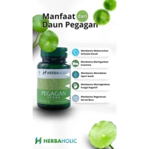 herbaholic.id kapsul ekstrak daun pegagan 500 mg 60 capsules
