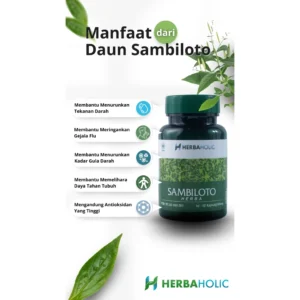 herbaholic.id kapsul ekstrak daun sambiloto 500 mg 60 capsules